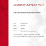 Emilio VDH-Champion