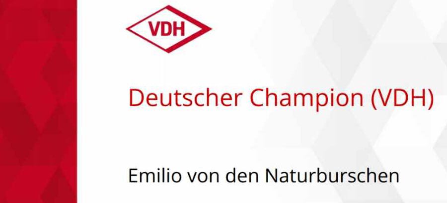 Emilio VDH-Champion