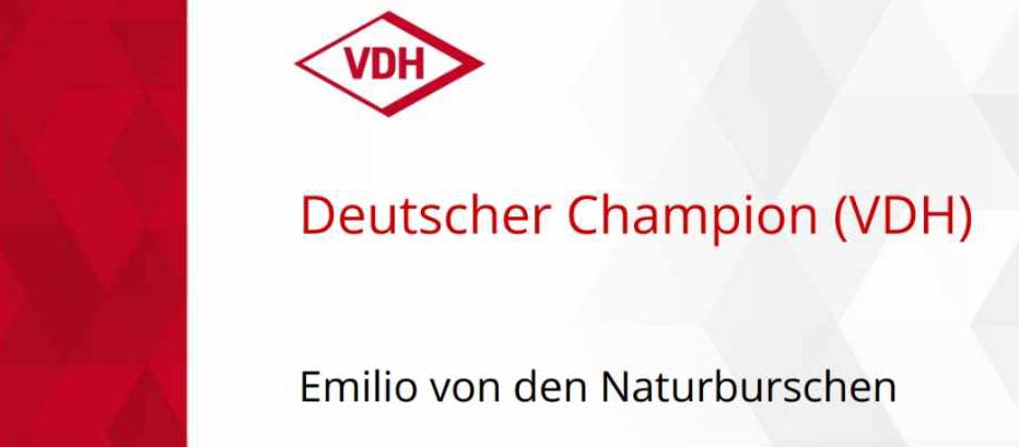 Emilio VDH-Champion